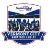 VCM training weeks 10-12 image